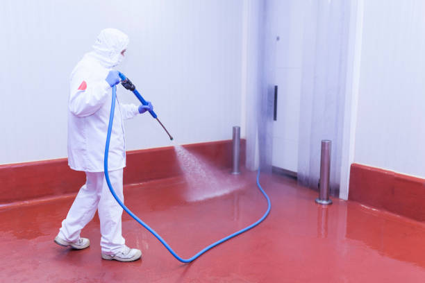 Best Warehouse Cleaning  in Bridgewater, VA