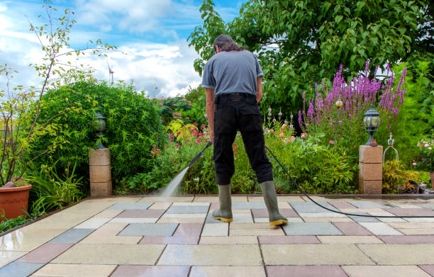 Best Driveway Pressure Washing  in Bridgewater, VA
