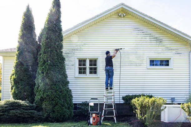 Trusted Bridgewater, VA Pressure Washing Experts
